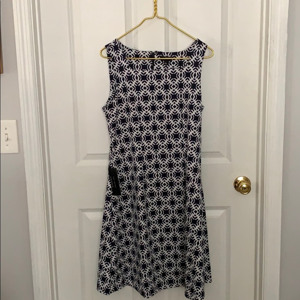 The Limited Shift Dress